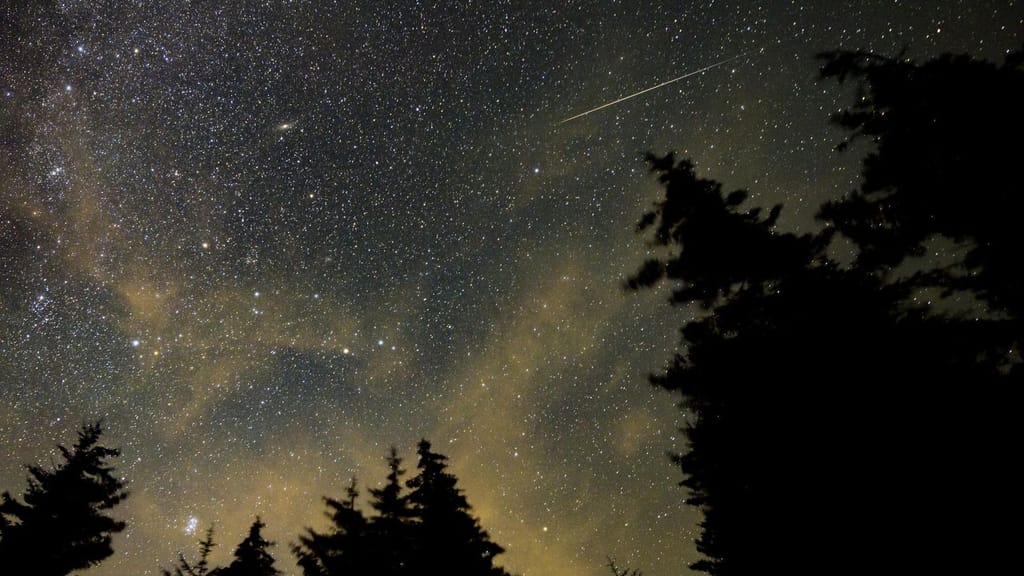 Rasto de um meteoro num céu estrelado acima de silhuetas de árvores