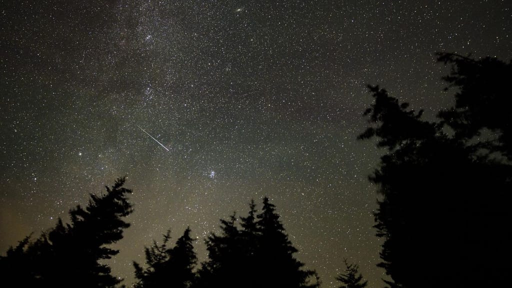 Um meteoro das Perseidas risca o céu estrelado por cima de uma linha de árvores, numa fotografia de longa exposição
